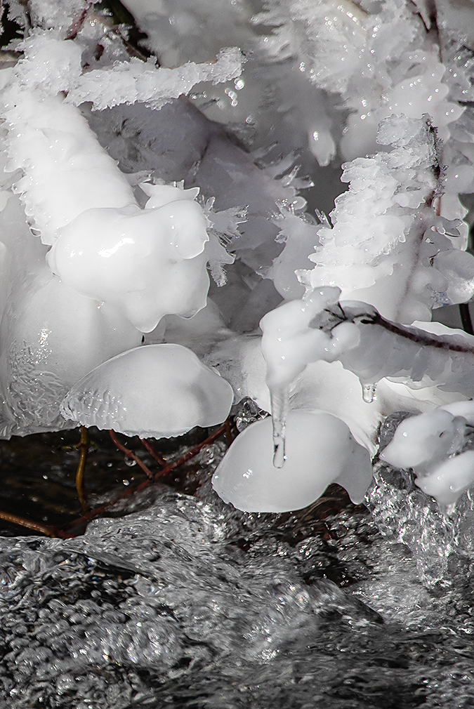 Eisblumen