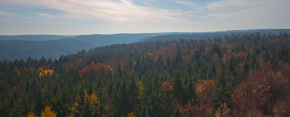 Schlifkopf