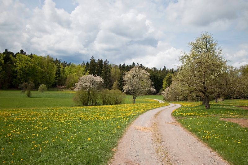 Frühling