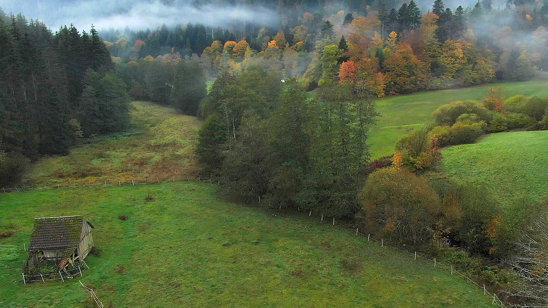 Herbst im Nordschwarzwald