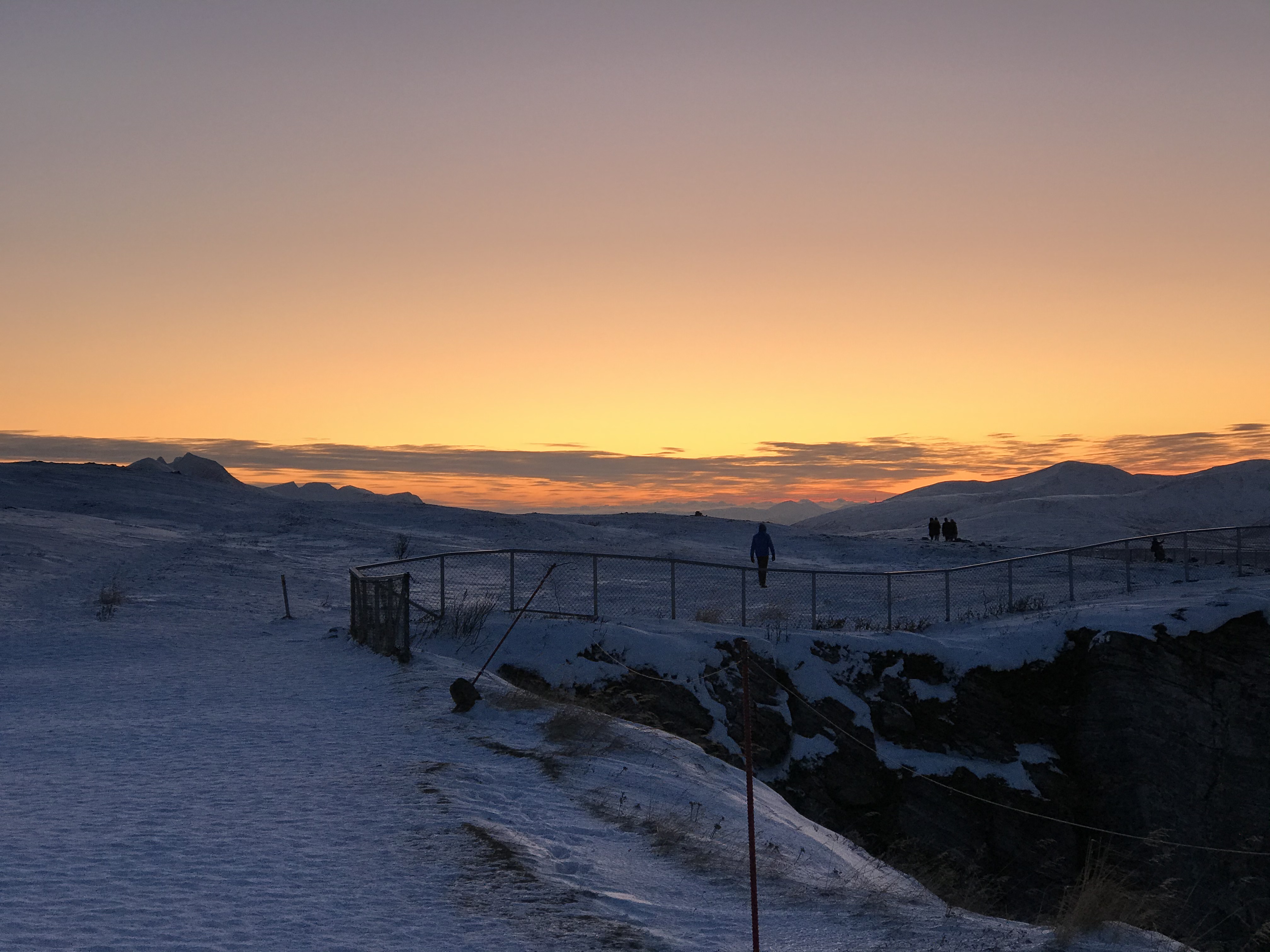 Buntspecht Tromsø