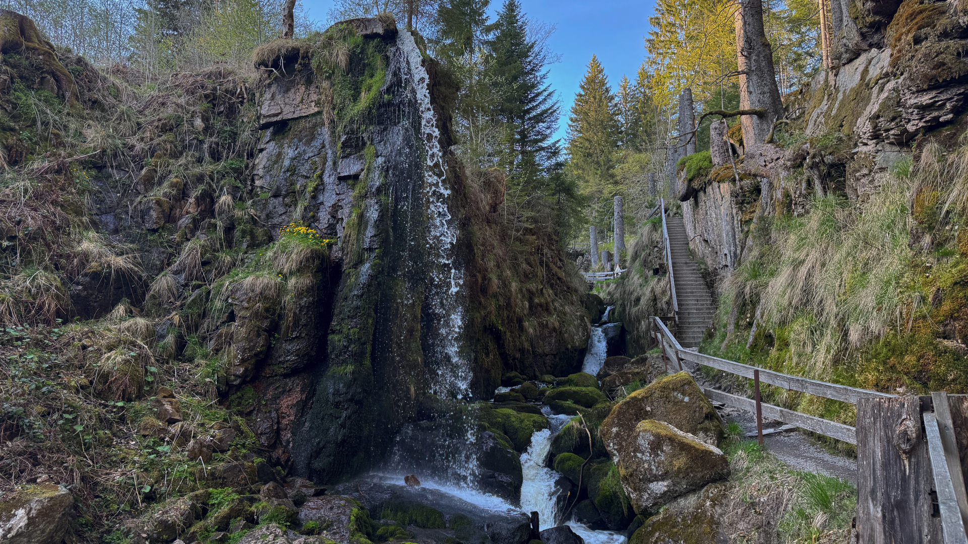 Schwarzwald