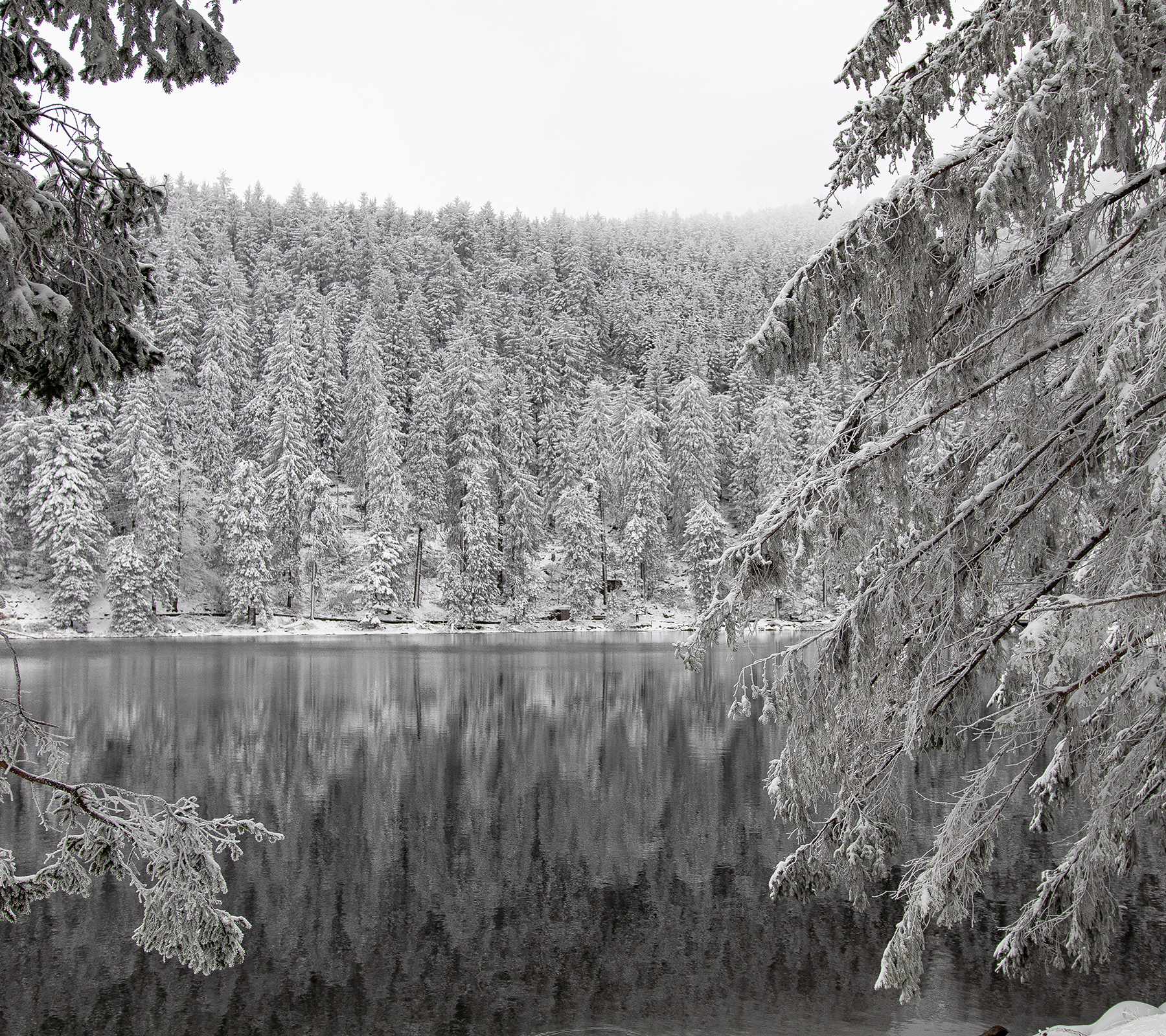 Mummelsee