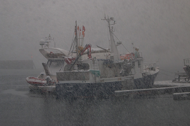 Schneefall im Hafen