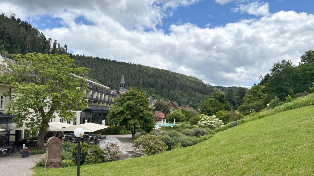 Bad Teinach Heilwasser
