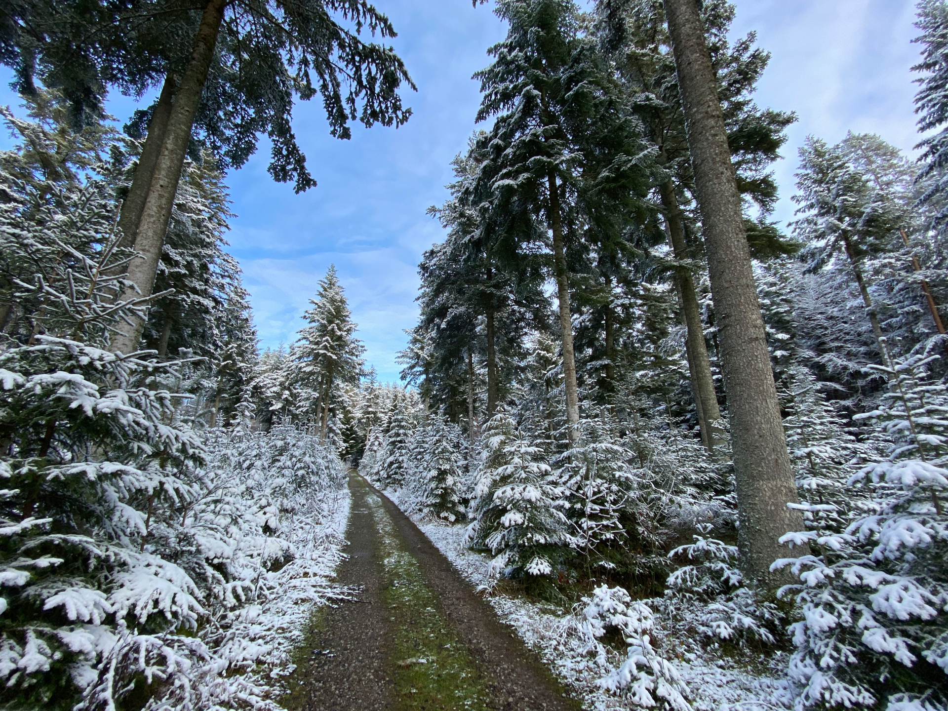 Winter im Nordschwarzwald